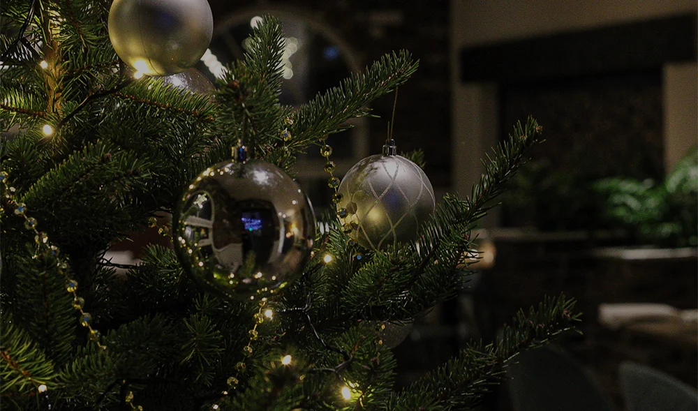 December tasting menu image